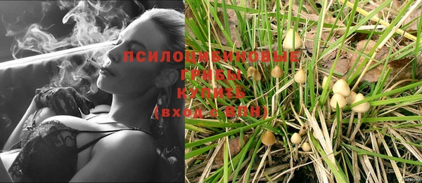 соль ск Белоозёрский