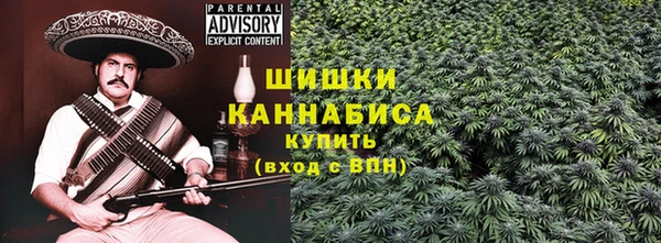 ECSTASY Белокуриха